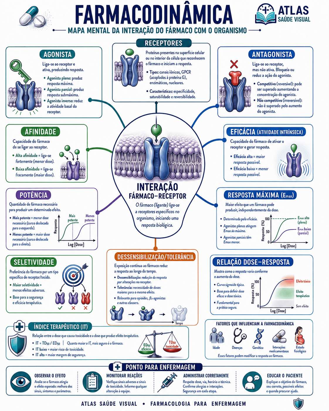 Mapa mental de Farmacodinâmica