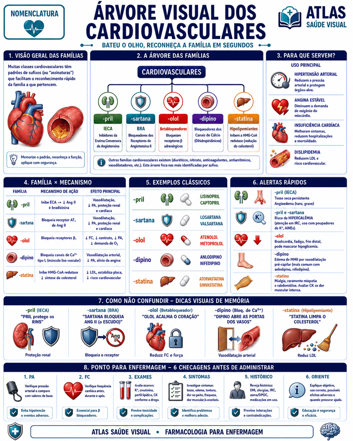 Mapa de nomenclatura - Árvore Visual dos Cardiovasculares