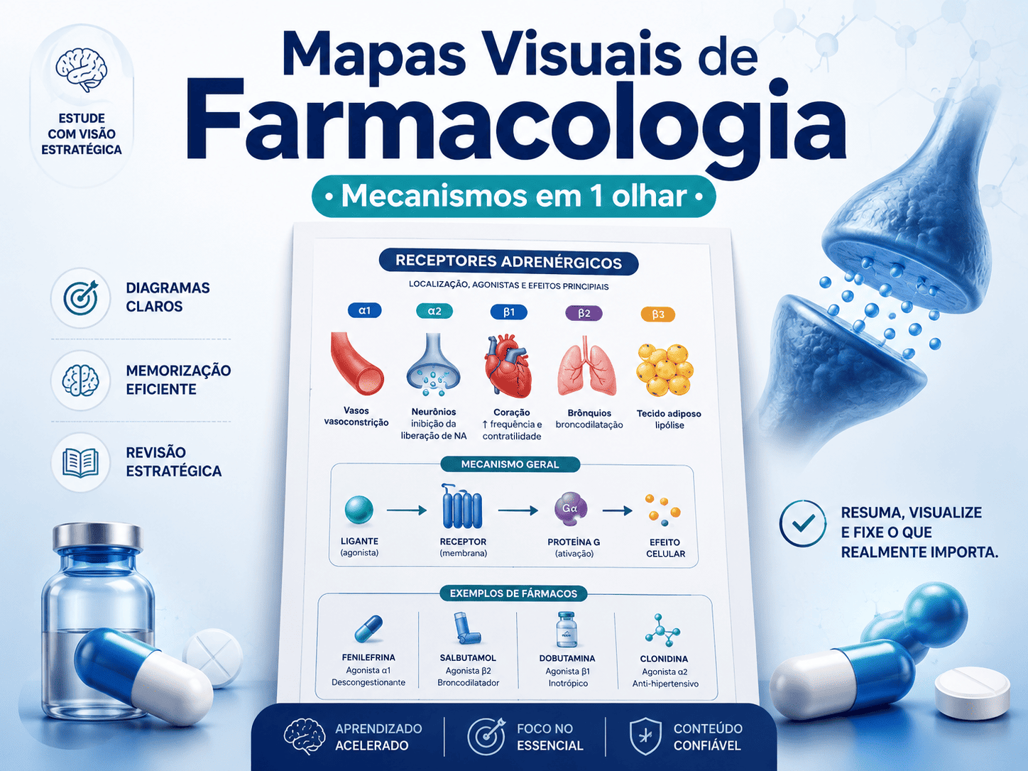 Mapas visuais de Farmacologia