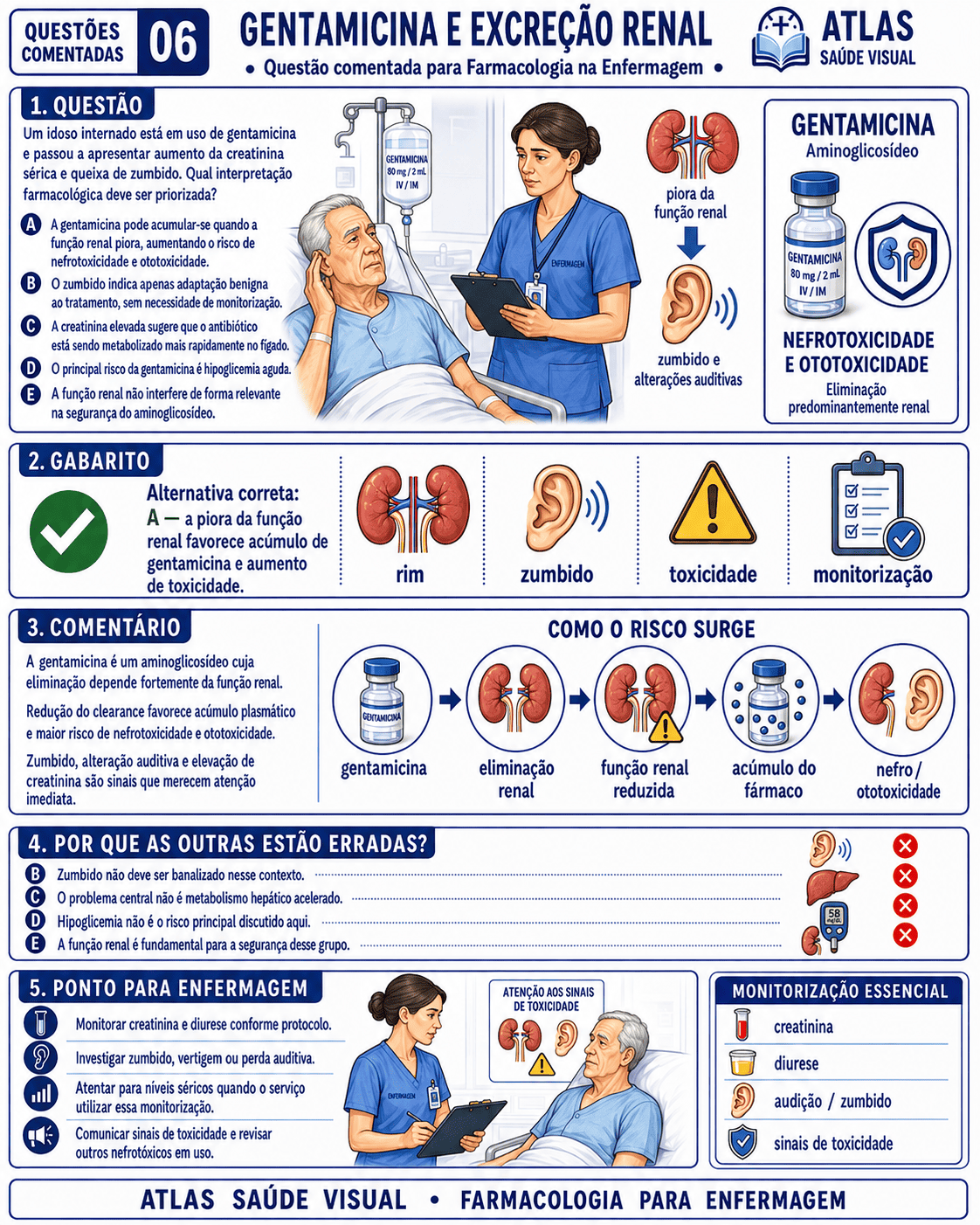 Questão comentada - Gentamicina e Excreção Renal
